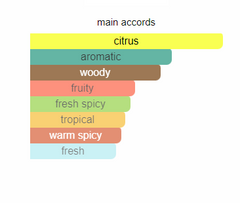 B You T Full 206 (Compare to Versace Eau Fraiche)